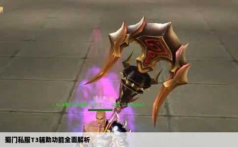 蜀门私服T3辅助功能全面解析